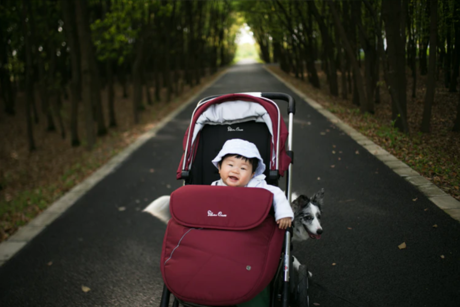 stroller